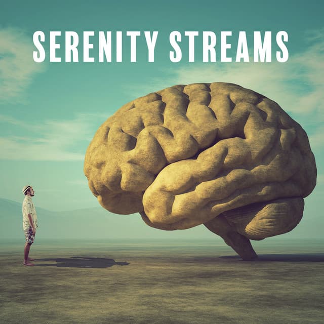 Serenity Streams: Study, Brain, and Meditation with Nature's Symphony - Brain Study Music Guys