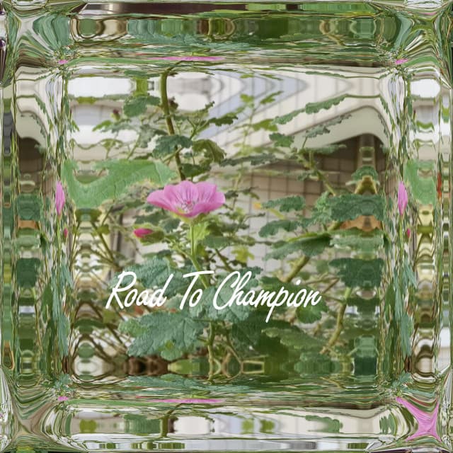 Road To Champion - Peaceful Pianos