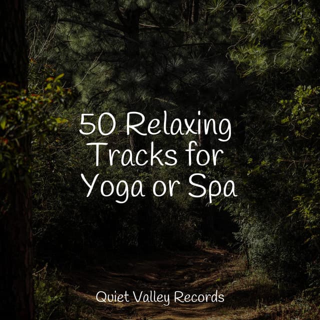 50 Relaxing Tracks for Yoga or Spa - Rainfall