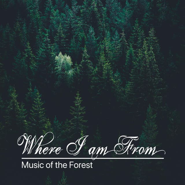 Where I Am From - Music of the Forest