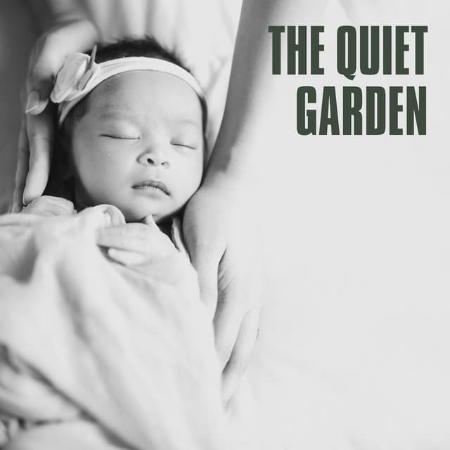 Baby Sleep Academy