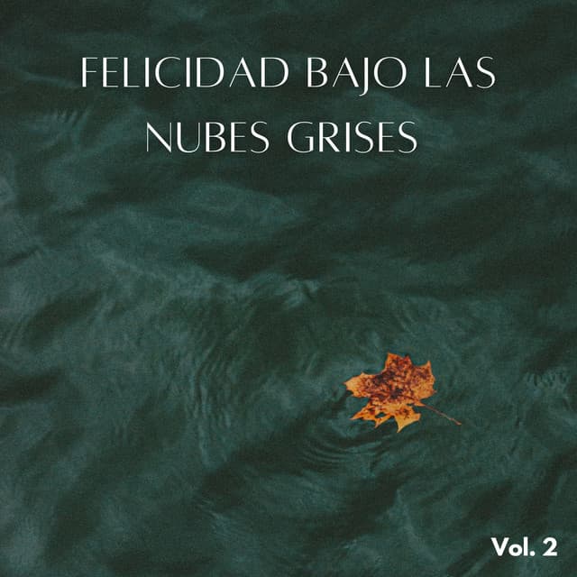 Felicidad Bajo Las Nubes Grises Vol. 2 - Sonidos de lluvia ASMR