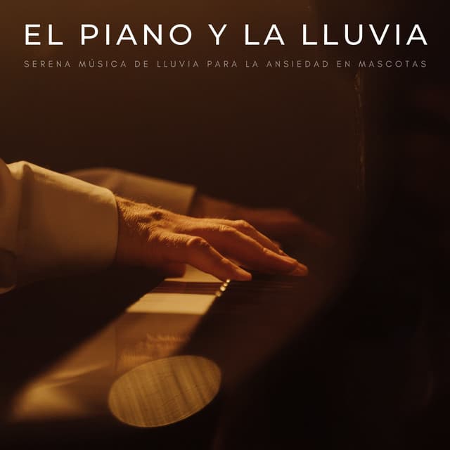 El Piano Y La Lluvia: Serena Música De Lluvia Para La Ansiedad En Mascotas - Musica Para Dormir