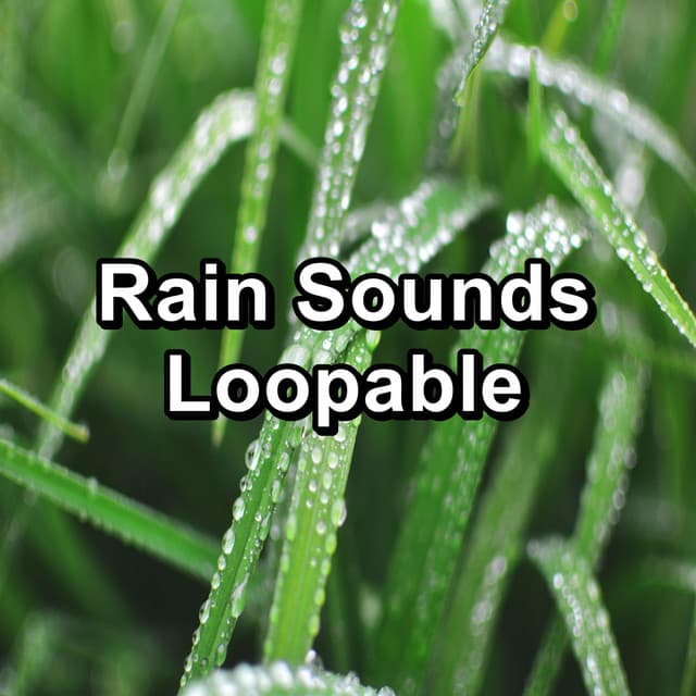 Rain Sounds Loopable - Lightning, Thunder and Rain Storm