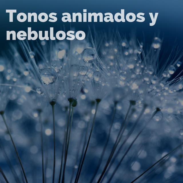 Tonos animados y nebulosos - Aguas Pura
