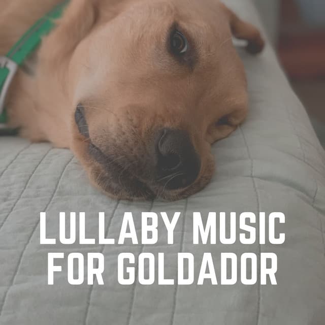 Lullaby Music for Goldador - Sleeping Music For Dogs