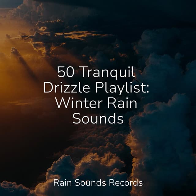 50 Tranquil Drizzle Playlist: Winter Rain Sounds - Weather Factory