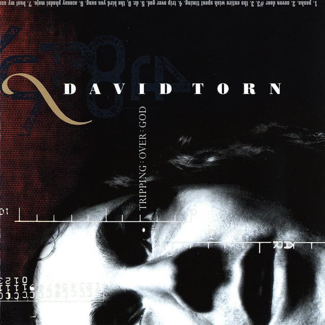 Tripping Over God - David Torn