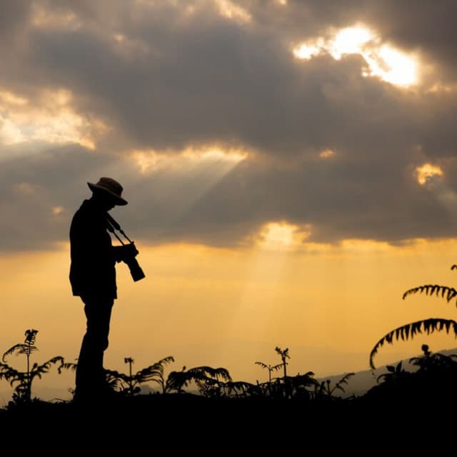 Cinnamon Sunset - Carlos Flamenco