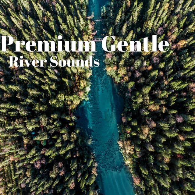 Premium Gentle River Sounds - River Sleep Aid