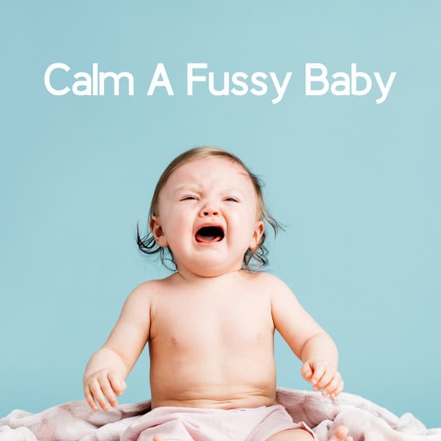 Calm A Fussy Baby - Giulia Tylor