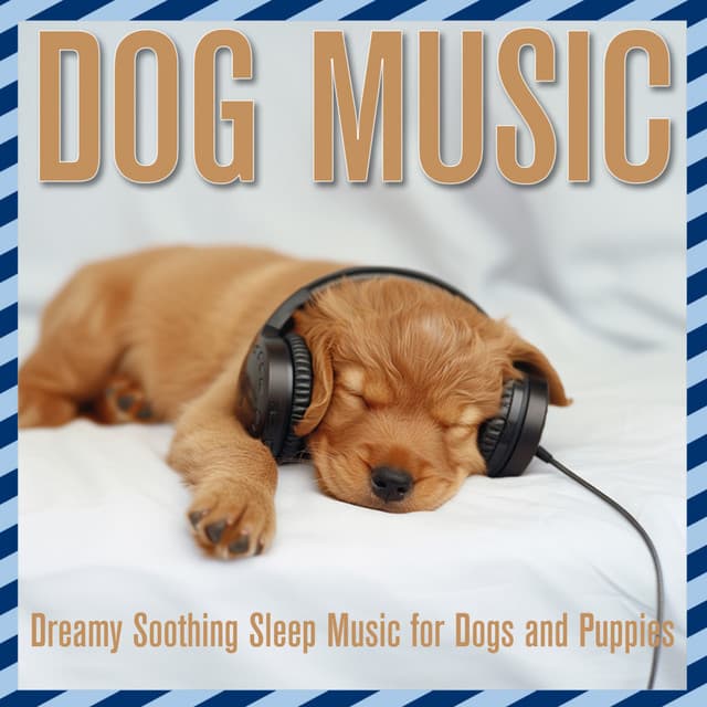 Dog Music: Dreamy Soothing Sleep Music for Dogs and Puppies - Relaxmydog