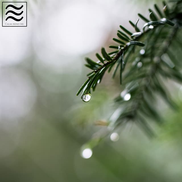 Celestial Restful Noises of Tibetan Music - Celestial Meditation Master