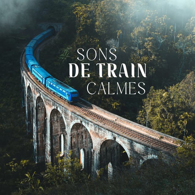 Sons de train calmes - Zhang Umeda