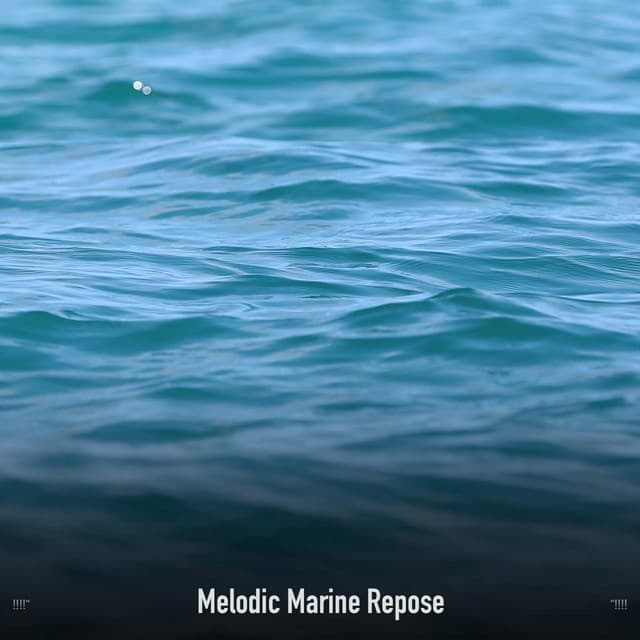 !!!!" Melodic Marine Repose "!!!! - Ocean Waves