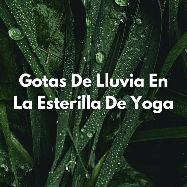 Gotas De Lluvia En La Esterilla De Yoga - Registradores de lluvia