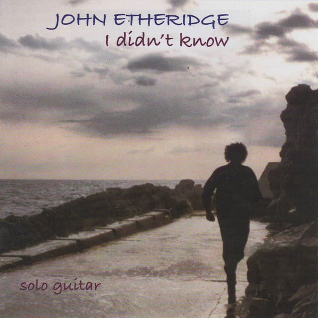 I Didn't Know - John Etheridge