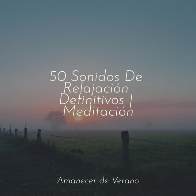 50 Sonidos De Relajación Definitivos | Meditación - Guided Meditation