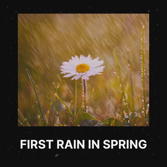 First Rain in Spring - Rain is my Life