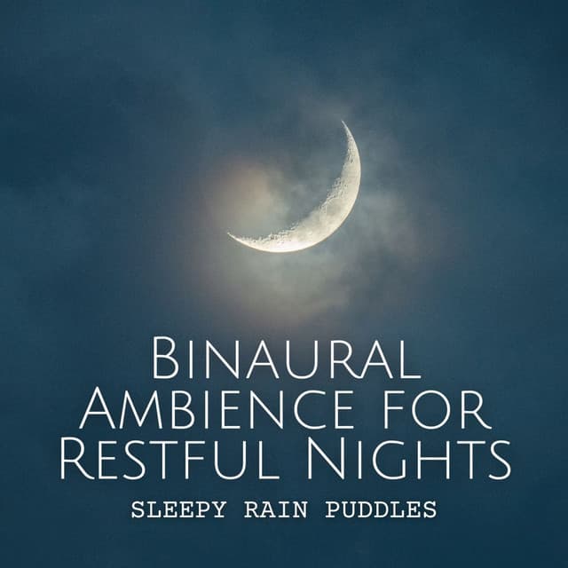 Sleepy Rain Puddles: Binaural Ambience for Restful Nights - Rain Radiance