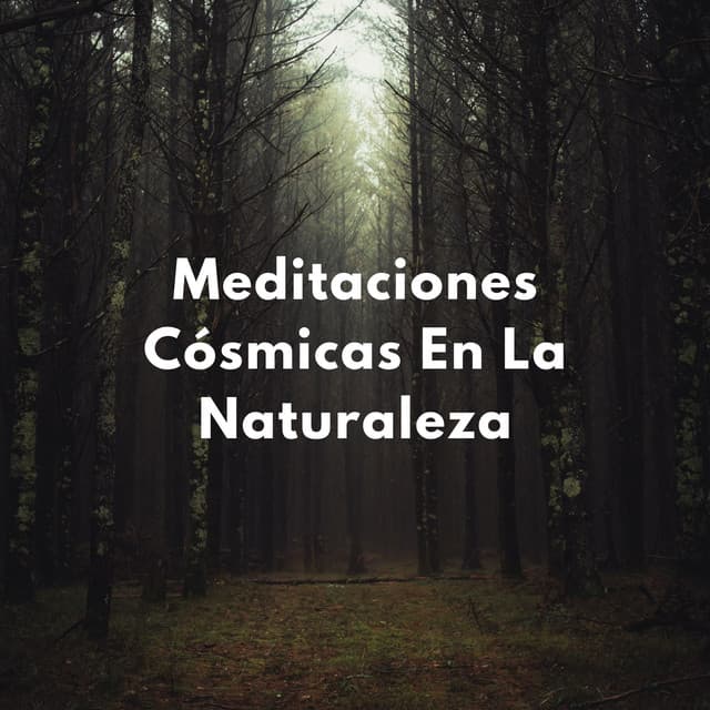 Cúpula Celestial: Meditaciones Cósmicas En La Naturaleza - Medi Rela