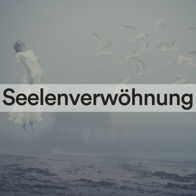 Seelenverwöhnung - Erholsame Musik Akademie