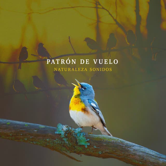 Patrón de Vuelo - Naturaleza Sonidos