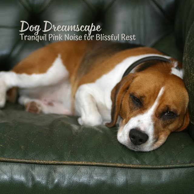 Dog Dreamscape: Tranquil Pink Noise for Blissful Rest - Soporific Pink Noise