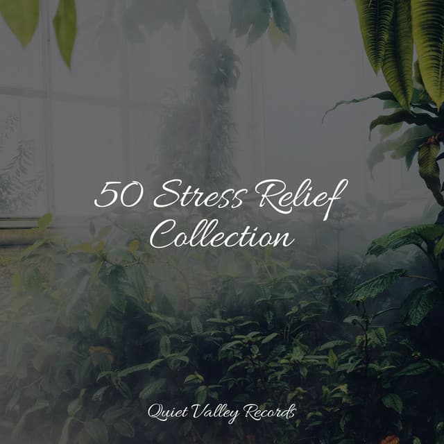 50 Stress Relief Collection - Sonidos De Lluvia y Tormentas