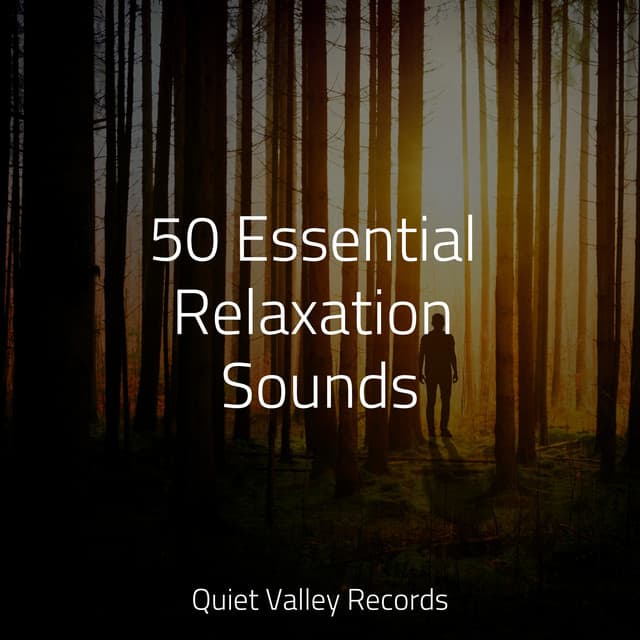 50 Essential Relaxation Sounds - Tibetan Singing Bowls for Relaxation