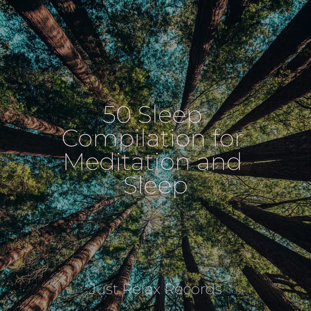 50 Sleep Compilation for Meditation and Sleep - Shakuhachi Sakano