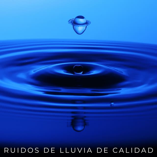 Asociación de sonidos nocturnos