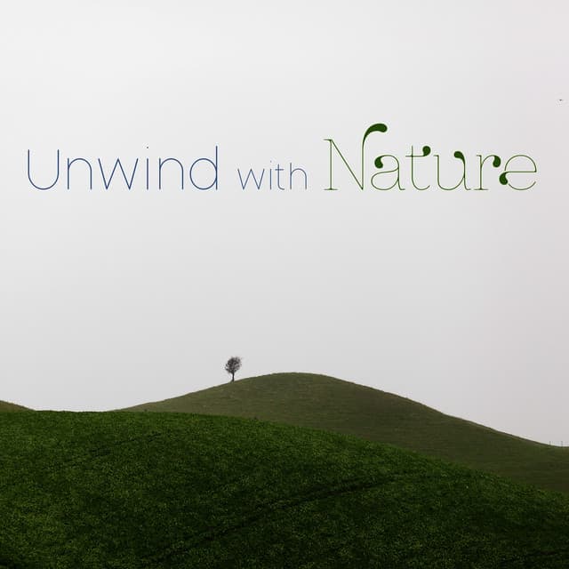 Unwind with Nature - Music of the Forest