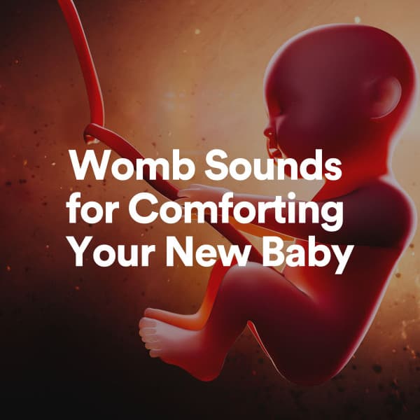 Womb Sounds for Comforting Your New Baby - Womb Sounds Heartbeat
