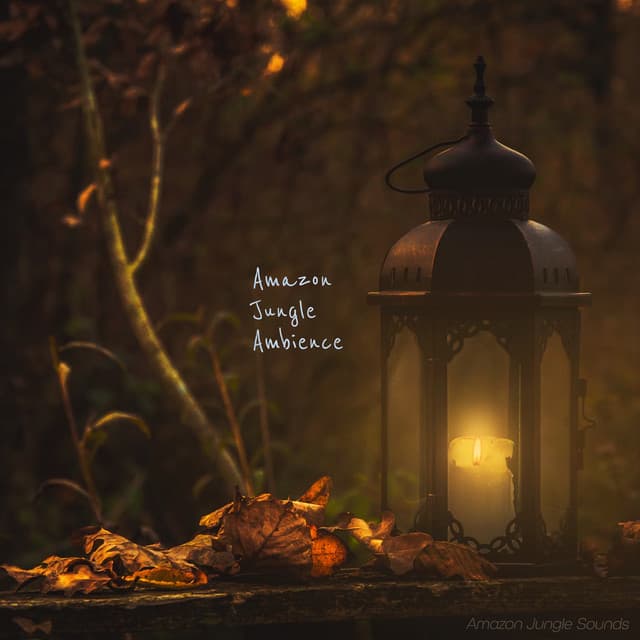 Amazon Jungle Ambience - Amazon Jungle Sounds