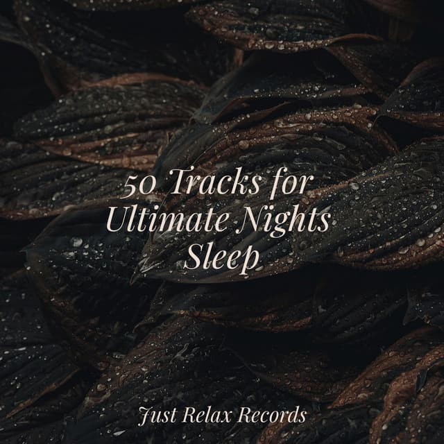 50 Tracks for Ultimate Nights Sleep - Relajacion Del Mar