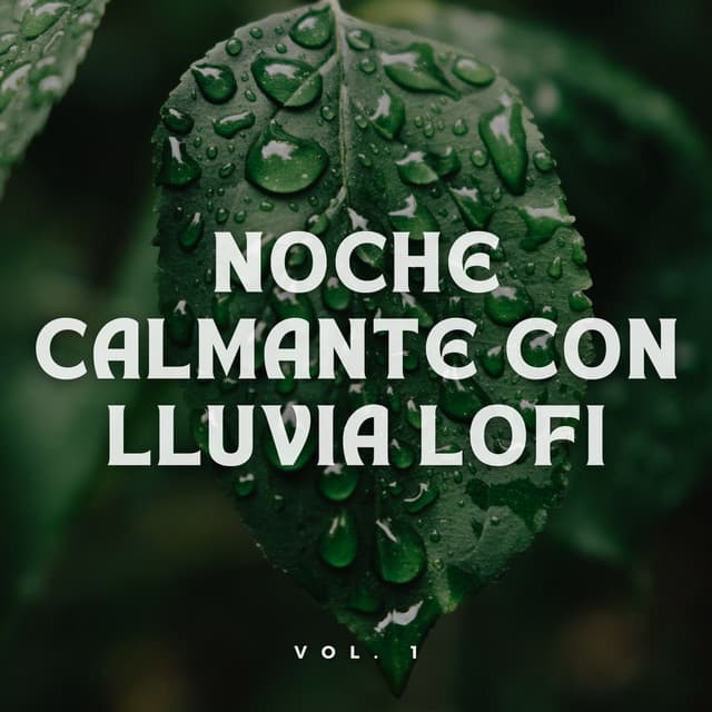 Noche Calmante con Lluvia Lofi Vol. 1 - Sonido de lluvia