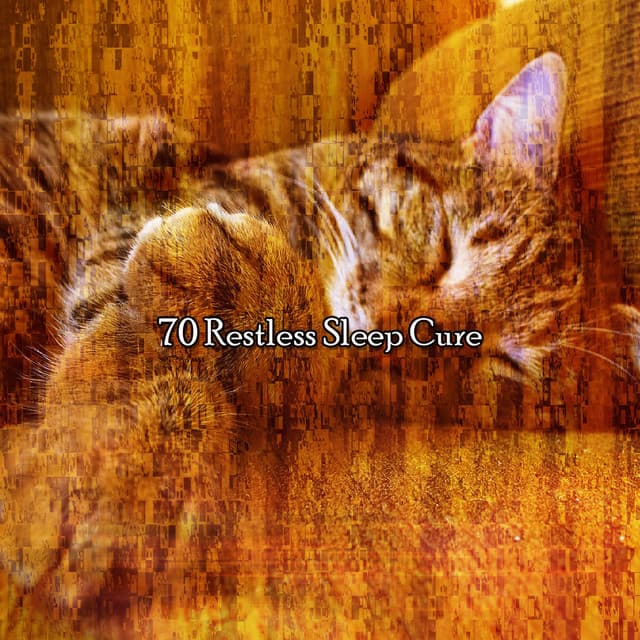 70 Restless Sleep Cure - Best Relaxation Music