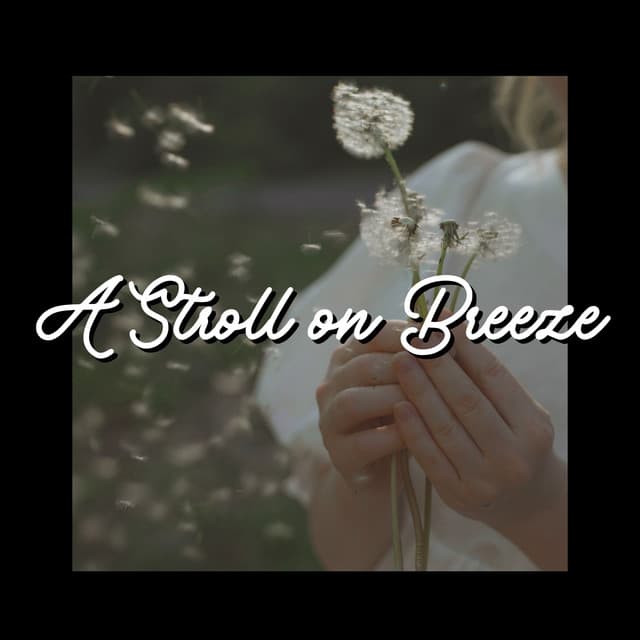 A Stroll on Breeze - Music For Absolute Sleep