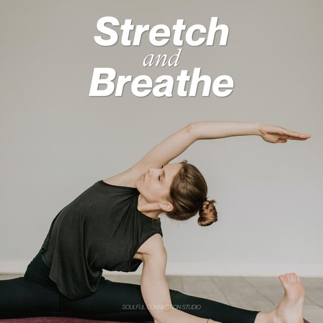 Stretch and Breathe - Hatha Yoga Maestro