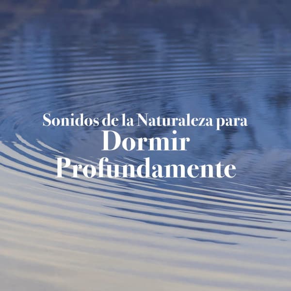 20 Sonidos de la Naturaleza para Dormir Profundamente con Música Relajante y Ruido Blanco - Sonidos de la Naturaleza Relajacion
