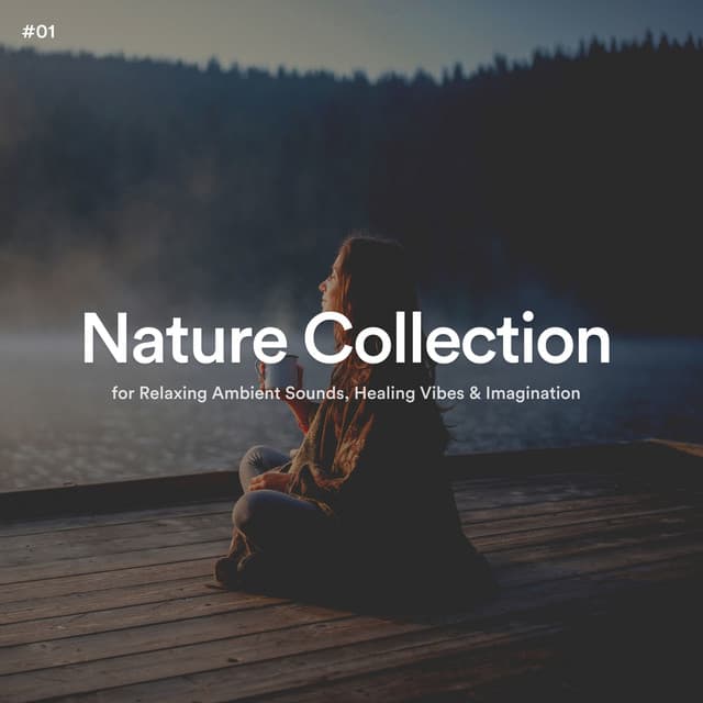 #01 Nature Collection for Relaxing Ambient Sounds, Healing Vibes & Imagination - The Nature Soundscapes