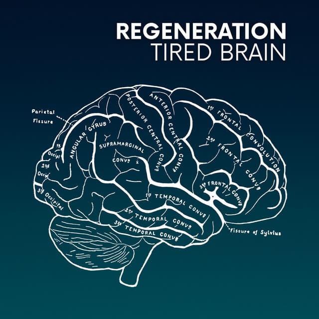 Regeneration of a Tired Brain - Harmonic Healing RW