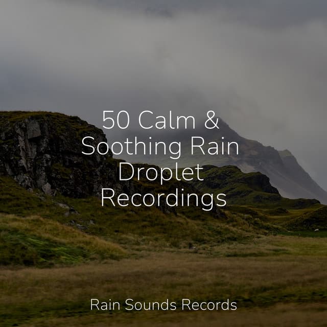 50 Calm & Soothing Rain Droplet Recordings - Nature Sounds Nature Music