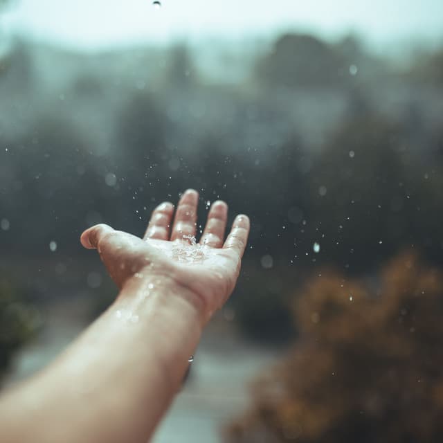 Resonance in Droplets: The Rain's Lullaby - Solfeggio