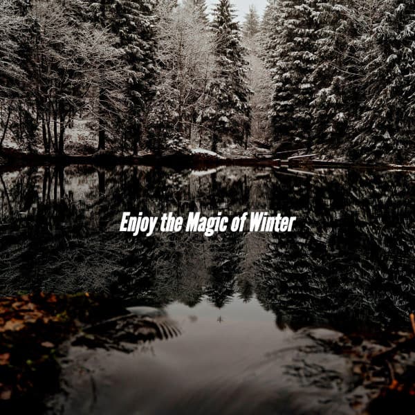 Enjoy the Magic of Winter - Jazz Lounge Cafe