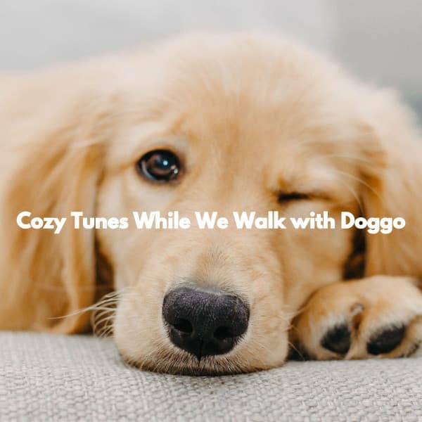 Cozy Tunes While We Walk with Doggo - Soft Coffee Shop Music