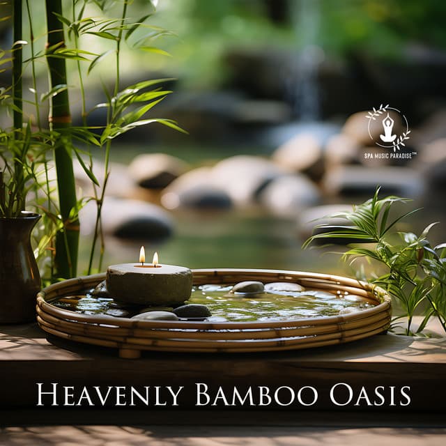 Heavenly Bamboo Oasis: Traditional Chinese Healing - Spa Music Paradise