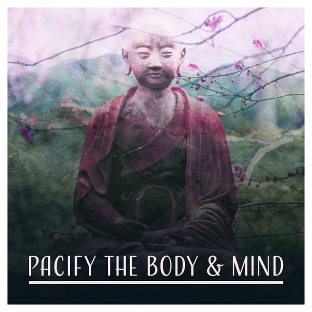 Pacify the Body & Mind - Less Stress Music Academy