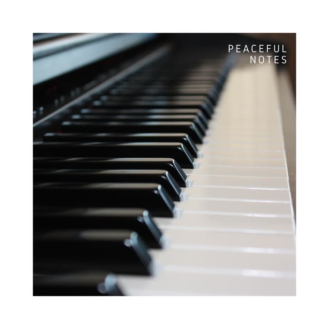 Peaceful Notes: Calm Piano Music - Relaxing Piano